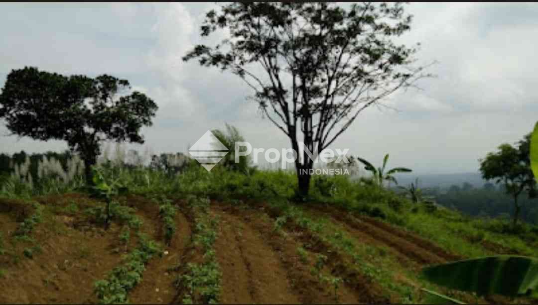 Tanah Komersial Desa Cembor - Pacet Mojokerto — foto 5
